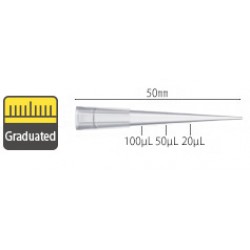 Graduated, Natural 200 µL Pipette Tips