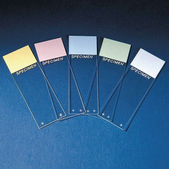 Colorfrost slides, color-coded 75×25 MM