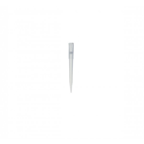 Filter Pipette Tips in Bag, 1000 µl, Premium Line, 1000 Pcs