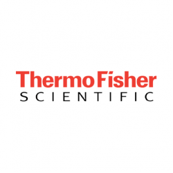 Hypersil BDS C18 Columns