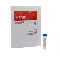 Molecular Probes Qdot 655 ITK™ Amino (PEG) Quantum Dots Molecular Probes Qdot 655 ITK™ Amino (PEG) Quantum Dots