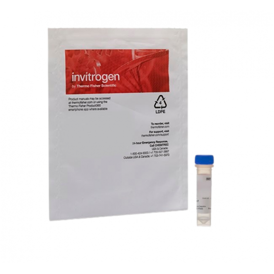 Molecular Probes Qdot 655 ITK™ Amino (PEG) Quantum Dots