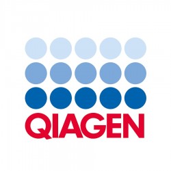 RT2 Profiler PCR Array RT2 Profiler PCR Array Horse