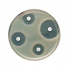 Flumequine Antimicrobial Susceptibility Disks  30μg