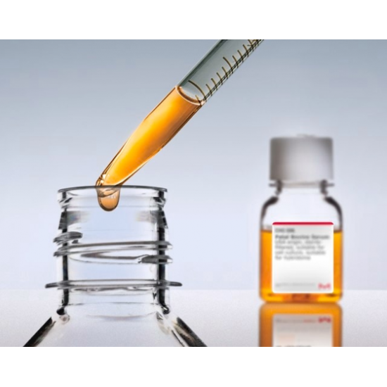 Fetal Bovine Serum,  100 ML