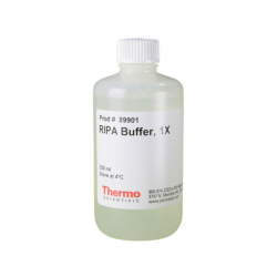 RIPA Lysis and Extraction Buffer, 250 ML RIPA Lysis and Extraction Buffer, 250 ML