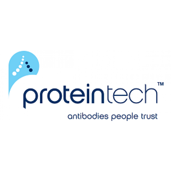 GFP-Trap® Agarose is an affinity resin for IP of GFP-fusion proteins