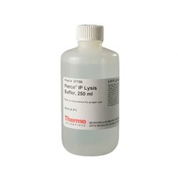 Pierce™ IP Lysis Buffer, 250 ML Pierce™ IP Lysis Buffer, 250 ML