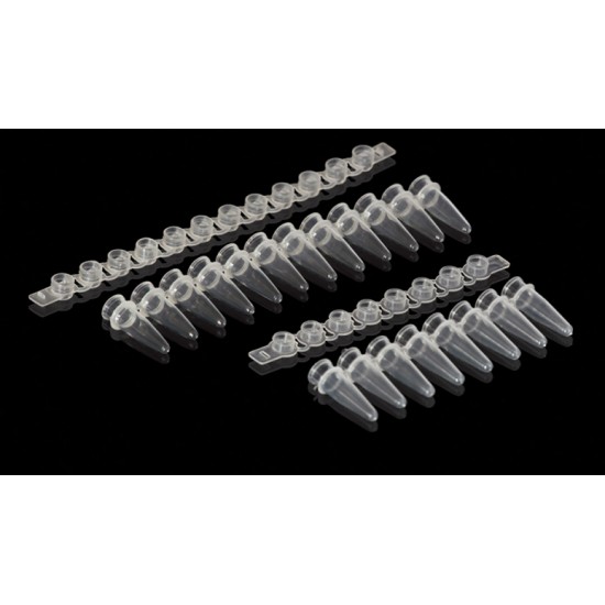 PCR Tube, 0.2 ML