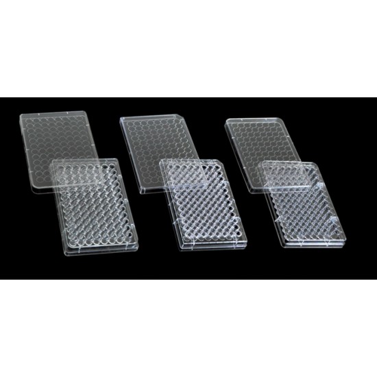 Cell Culture Plates (Non -TC Treated) 96 Well