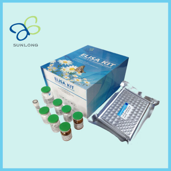 ELISA Kit for Leptin (LEP), 96 T