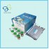 ELISA Kit for Leptin (LEP), 96 T