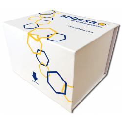 Total Antioxidant Capacity Assay Kit Total Antioxidant Capacity Assay Kit
