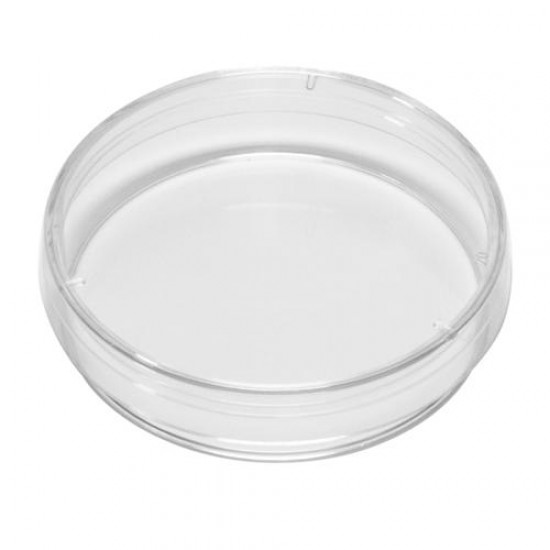 Petri Dish 60 x 15 mm