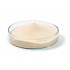 Agar Culture Medium 500Gm