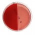 Blood Agar // Blood Agar