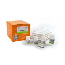 Column-Pure Blood Genomic DNA Kit 50 Preparations Column-Pure Blood Genomic DNA Kit 50 Preparations