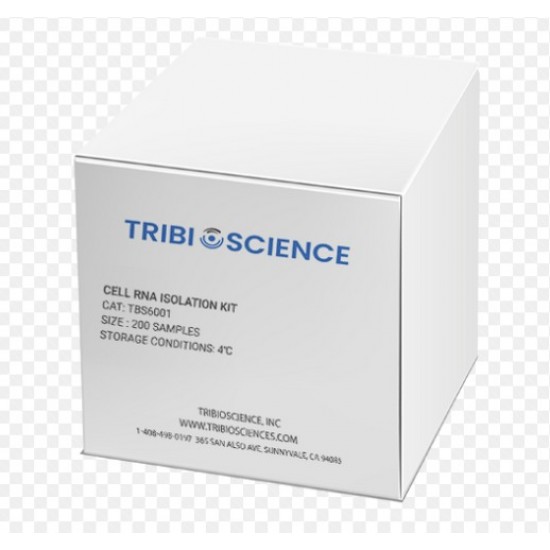 Column-Pure Fungi RNA Isolation Kit 50 Preparations