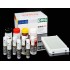 CT-IgA elisa kit Camel Chlamydia Trachomatis IgA (CT-IgA) ELISA Kit