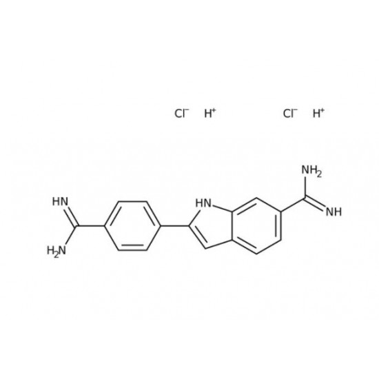 4\',6-Diamidino-2-Phenylindole Dihydrochloride, 10mg