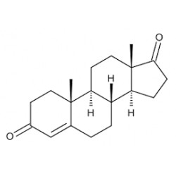4-Androstene-3,17-dione  100mg