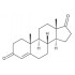 4-Androstene-3,17-dione  100mg