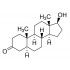 5α-Androstan-17β-ol-3-one