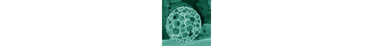 Microspheres