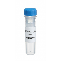 BMS CCR2 22, 1 mg