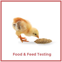 Food & Feed Test
