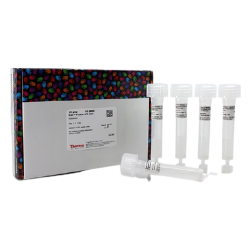 Protein Purification