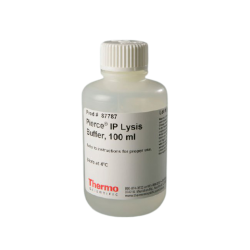 Cell Lysis Detergents