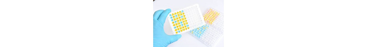 Immunoassay 