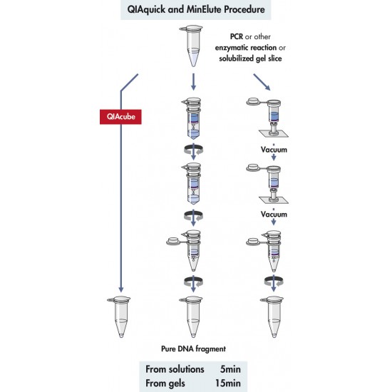 QIAquick PCR Purification Kit (250)