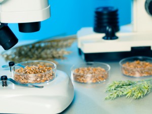 Analysis of foods and beverage