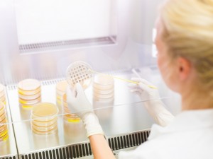 Collection Of Samples