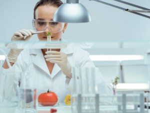 Food & beverage equipment