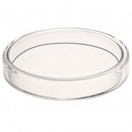 Glass Petri Dish 9Cm