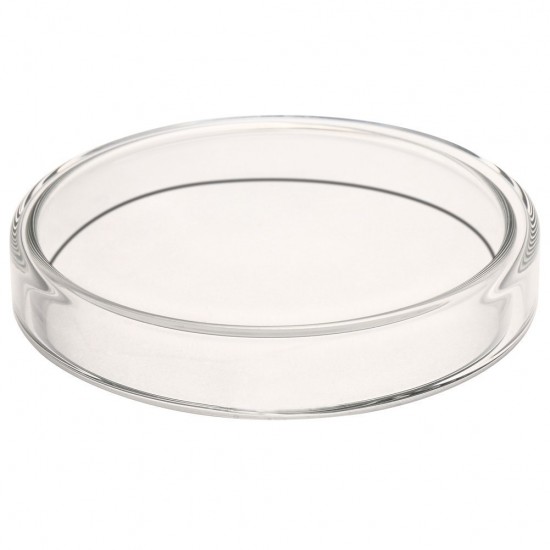 Glass Petri Dish 9Cm Glass Petri Dish 9Cm