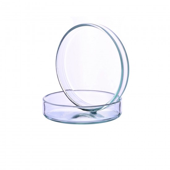 Glass Petri Dish 6Cm Glass Petri Dish 6Cm