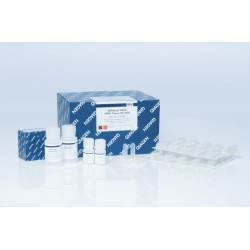 QIAamp Viral RNA Mini Kit (250)