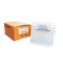 ProteinEle Precast Tris-Glycine Gel