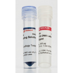 1 Kb DNA Ladder