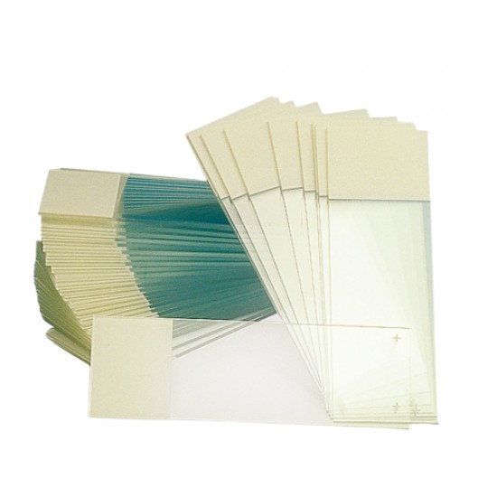 Adhesive slides Superfrost Adhesive slides Superfrost