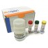 Annexin V FITC Assay Kit-100 test