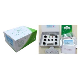 ELISA Kit for Glutathione Peroxidase 3 Plasma (GPX3)