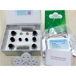 ELISA Kit for Peroxiredoxin 4 (PRDX4) for mice 96T