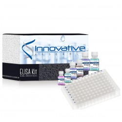ELISA Kit for Receptor Tyrosine Protein Kinase erbB-2 (ErbB2)