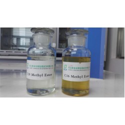 FATTY ACID METHYL ESTER,C8-C22,100MG FATTY ACID METHYL ESTER,C8-C22,100MG