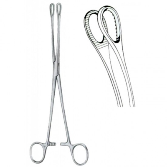 Foerster Forcep Serrated 25 CM CURVED Foerster Forcep Serrated 25 CM CURVED